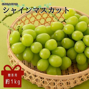 yӂ邳Ɣ[Łzy2026N s\z p VC}XJbg1kgi2[j ʕ Ԃǂ t[c