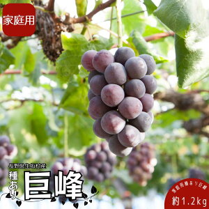 yӂ邳Ɣ[Łz2025N s\ ƒp 킠苐1.2kg (4`6[) ʕ Ԃǂ }XJbg t[c