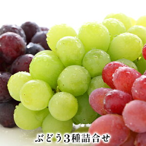 yӂ邳Ɣ[Łzys\z2025NY Ԃǂ3Zbg 420g ʕ t[c fU[g H  VC}XJbg  xjo[h lߍ킹 Hה MB 쌧Y