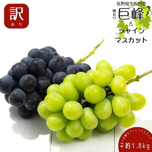 yӂ邳Ɣ[Łz2025N s\ 󂠂 킠苐􁕃VC}XJbg1.8kg 4`6[ ʕ Ԃǂ t[c fU[g  쌧Y MB̕ lߍ킹