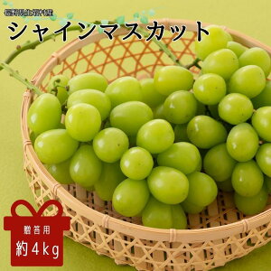 yӂ邳Ɣ[Łz2025N s\ p VC}XJbg4kg 9`13[ ʕ Ԃǂ t[c fU[g  쌧Y MB̕ 蕨 v[g