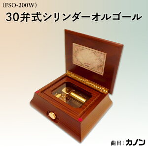 yӂ邳Ɣ[Łz1314F30َV_[IS[iFSO-200Wj