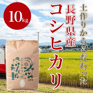 yӂ邳Ɣ[Łz RVqJ 1410 쌧YăRVqJ 10kg