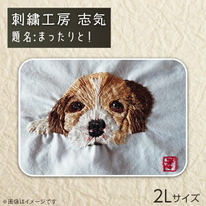 yӂ邳Ɣ[Łz2603-01 hJu񂿂i薼F܂ƁIjv