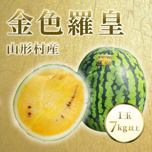 yӂ邳Ɣ[Łzs\  XCJ Z Fc 񂶂炨  lC Vi F S[h ʌ x  R`Y Fc 1ʁi7kgȏj_ 3207