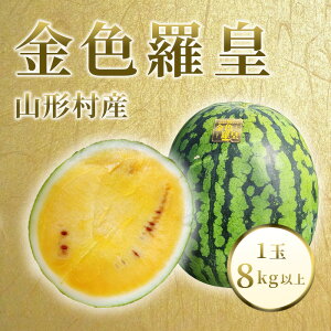 yӂ邳Ɣ[Łzs\  XCJ Z Fc 񂶂炨  lC Vi F S[h ʌ x  R`Y Fc 1ʁi8kgȏj_ 3208