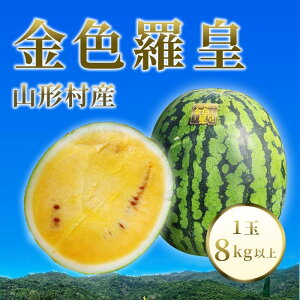 yӂ邳Ɣ[Łzs\  XCJ Z Fc 񂶂炨  lC Vi F S[h ʌ x  R`Y Fc 1ʁi8kgȏj_ 3208