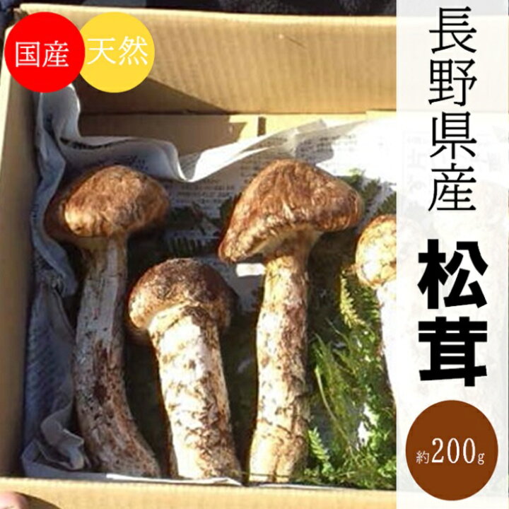 楽天市場】【ふるさと納税】松茸 季節限定 数量限定 3003 国産 天然 