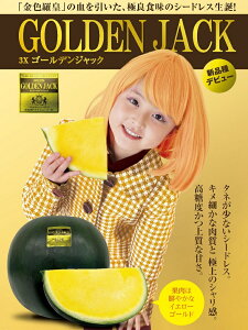 yӂ邳Ɣ[Łz XCJ Z S[fWbN Ȃ  F 1 Â F R` 쌧 Vi R`Y S[fWbN 1ʁi9kgȏj_ 3212