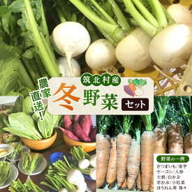 【ふるさと納税】先行予約【2026年11月上旬頃～順次発送予定】ちっくほっくふぁ～む　冬野菜セット | 筑北村 農産物 詰合せ 冬野菜 旬食材 食卓活用 家庭用 日常調理 人気 おすすめ 野菜 食材 和食素材 送料無料 ふるさと納税
