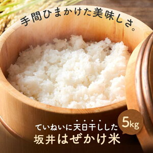 【ふるさと納税】<直売所「まんだらの庄」>坂井はぜかけ米(5kg) | お米 こめ 白米 天日干し 食品 人気 おすすめ 送料無料