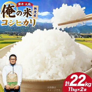 �y�ӂ邳�Ɣ[�Łz �y���̕āz�� �ߘa7�N �R�V�q�J�� ������ 11kg×2�� �v22kg [���� ��n ���쌧 �r�c�� 48110781] ���� ���� ���� ���͂� �����Ђ��� �������� �_�� ����