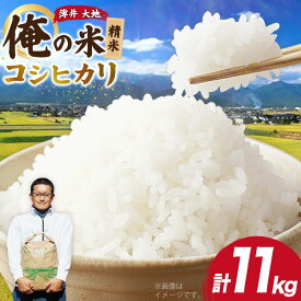 【ふるさと納税】 【俺の米】米 令和7年 コシヒカリ 精米 11kg [薄井 大地 長野県 池田町 48110784] お米 白米 ごはん こしひかり 美味しい 農家 直送