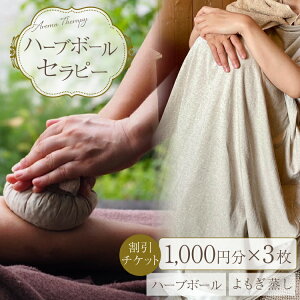 yӂ邳Ɣ[Łz n[u{[ Zs[ `Pbg 3,000~ [â 쌧 rc 48110809] N[[V  AÖ@