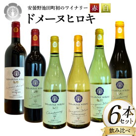 【ふるさと納税】 白 赤 ワイン 750ml 6本 セット [ヴィニョブル安曇野 長野県 池田町 48110817] 飲み比べ ワインセット