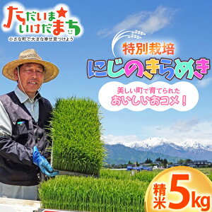 �y�ӂ邳�Ɣ[�Łz �� �ߘa7�N�Y ���ʍ͔| �ɂ��̂���߂� 5kg [�L����� ��� ���쌧 �r�c�� 48110832] ���� ���� �R�� kome ���ʍ͔| 5�L�� �V�� �ߘa7�N �ߘa7�N�x�Y