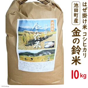 yӂ邳Ɣ[Łz RVqJ ̗ 10kg [rcό 쌧 rc 48110005]  Ђ  rcY ͂| ͂