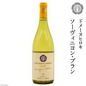 【ふるさと納税】白 ワイン ソーヴィニヨン・ブラン 750ml×1本 [ヴィニョブル安曇野 DOMAINE HIROKI 長野県 池田町 48110403] 白ワイン お酒 酒