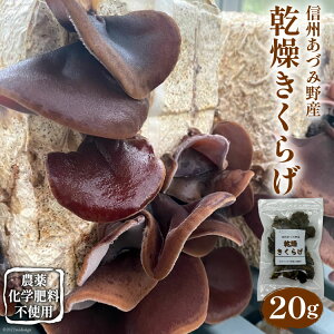yӂ邳Ɣ[Łz 炰 20g [ܖxW^u 쌧 rc 48110475] LNQ ؎ Y 