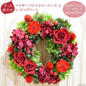 yӂ邳Ɣ[Łz yƑN₩zvU[uht[ [XiSjbh×O[sp{bNXt t[[X [mirccamircca 쌧 rc 48110588]   j j  