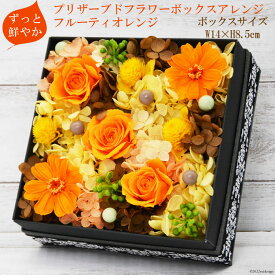 【ふるさと納税】 【ずっと鮮やか】プリザーブドフラワー ボックスアレンジ フルーティオレンジ ボックスフラワー [mirccamircca 長野県 池田町 48110583] 花 結婚 祝い お祝い 長持ち 長期保存