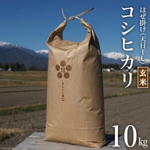 yӂ邳Ɣ[Łz  ߘa7N ͔|Ԓ_Ew엿sgp ͂| V RVqJ  10kg [܂邲_ 쌧 rc 48110698]