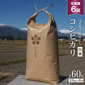 【ふるさと納税】6回定期便 はぜ掛け 天日干し コシヒカリ 白米 10kg×6回 / まるごし農園 / 長野県 池田町