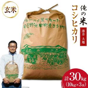 yӂ邳Ɣ[Łz y̕āz ߘa7N  RVqJ  10kg ×3 v 30kg [ n 쌧 rc 48110785]  ͂ Ђ  _ 