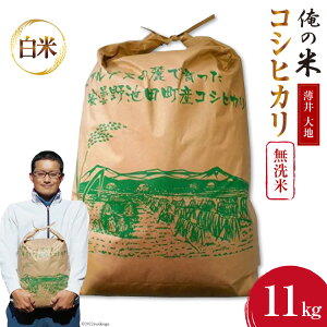 yӂ邳Ɣ[Łz y̕āz ߘa7N RVqJ  11kg [ n 쌧 rc 48110782]    Ђ  _ 