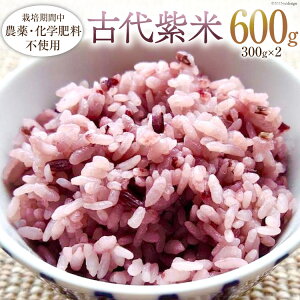 yӂ邳Ɣ[Łz  ߘa7N Ñ㎇ 300g ×2 [X̓yEÂݖt@[ 쌧 rc 48110552]   R Ñ  Zbg 