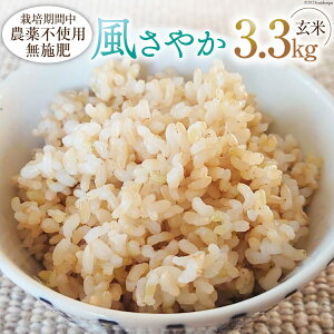 yӂ邳Ɣ[Łz  ߘa7N ₩  3.3kg [X̓yEÂݖt@[ 쌧 rc 48110553]  R    ͂ IWi 