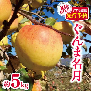 yӂ邳Ɣ[Łz󂠂 ܖ 5kg y2025Ns\z | }_ ʕ t[c  S ь ܖ 󂠂 쌧 쑺 MB