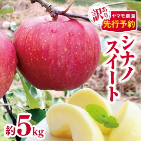 【ふるさと納税】訳あり シナノスイート 約5kg 【2026年先行予約】 | ヤマモ農園 果物 フルーツ 果実 りんご 林檎 リンゴ シナノスイート 長野県 松川村 信州