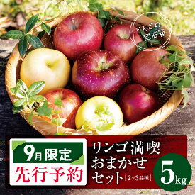 【ふるさと納税】 訳あり リンゴ 満喫おまかせ セット 約5kg 【 2026年9月限定 先行予約 】 | ヤマモ農園 果物 フルーツ 果実 りんご 林檎 リンゴ セット 訳あり 先行予約 長野県 松川村 信州