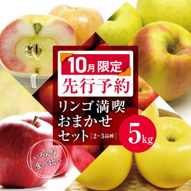 【ふるさと納税】訳あり リンゴ 満喫おまかせ セット 約5kg 【 2026年10月限定 先行予約 】 | ヤマモ農園 果物 フルーツ 果実 りんご 林檎 リンゴ セット 長野県 松川村 信州