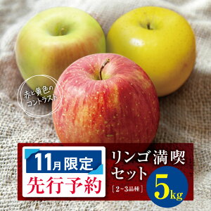 yӂ邳Ɣ[Łzy 2025N11 s\ z 󂠂 S i܂ Zbg 5kg | }_ ʕ t[c ʎ  ь S Zbg 쌧 쑺 MB