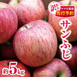 yӂ邳Ɣ[Łz󂠂 Tӂ 5kg y2025Ns\z | }_ ʕ t[c  S ь Tӂ TtW 󂠂 쌧 쑺 MB