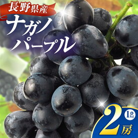 【ふるさと納税】ナガノパープル 2房 約1kg 【2026年先行予約】 | ヤマモ農園 果物 ぶどう 葡萄 ナガノパープル フルーツ デザート 食後 おやつ 低農薬 果汁 皮ごと 日本産 国産 産地直送 長野県 松川村 信州