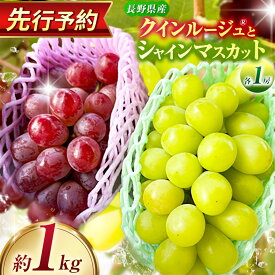【ふるさと納税】クインルージュ® と シャインマスカット 各1房 約1kg 【2026年先行予約】 | ヤマモ農園 果物 ぶどう 葡萄 シャインマスカット クインルージュ フルーツ デザート 食後 おやつ 果汁 皮ごと 日本産 国産 産地直送 長野県 松川村 信州