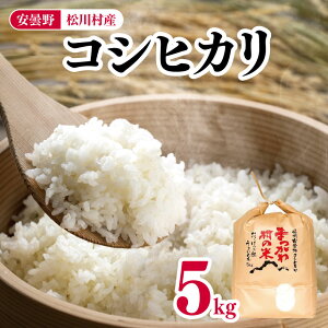 【ふるさと納税】 コシヒカリ 5kg 松川村産 【 令和7年度産 新米 】 | 米 白米 精米 コシヒカリ こしひかり お米 おこめ 長野県 松川村 信州