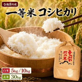 【ふるさと納税】【令和8年先行予約】一等米コシヒカリ 白米 5kg / 10kg ・ 玄米 30kg｜ファームいちまる 米 お米 こめ コシヒカリ こしひかり 白米 精米 玄米 長野県 松川村 北アルプス 信州 安曇野