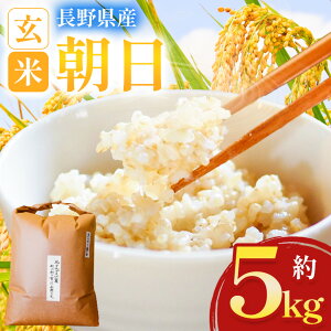 yӂ邳Ɣ[Łz 5kg yߘa7NxYzR͔| V |   R   R͔| ͔| V  Ñ 쌧 쑺 MB