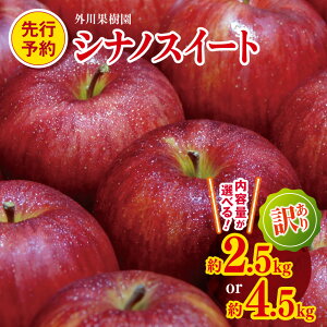 yӂ邳Ɣ[Łz󂠂 VimXC[g Iׂe 4.5kg / 2.5kg y2026Ns\z b Oʎ S  ь ʕ t[c ʎ ʏ` VimXC[g Ȃ̂[ 킯 A