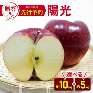 yӂ邳Ɣ[Łz* p z Iׂe 10kg or 5kg y2025Ns\z b Oʎ S  ь ʕ t[c ʎ ʏ` z 悤 Mtg p 쌧 쑺 MB