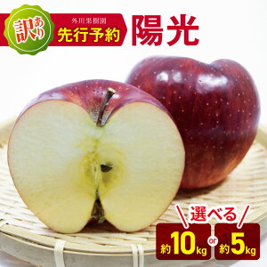 yӂ邳Ɣ[Łz* 󂠂 z Iׂe 10kgE5kg y2025Ns\z b Oʎ S  ь ʕ t[c ʎ ʏ` z 悤 킯 A 쌧 쑺 MB