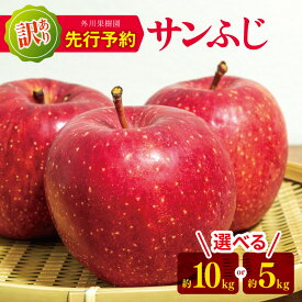 【ふるさと納税】 訳あり サンふじ 選べる内容量 約10kg / 約5kg 【2025年先行予約】｜ 外川果樹園 リンゴ りんご 林檎 果物 フルーツ 果実 果汁 サンふじ さんふじ 家庭用 わけあり 訳アリ 長野県 松川村 信州
