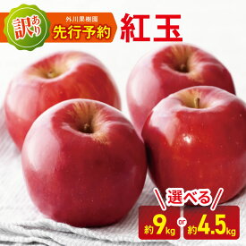 【ふるさと納税】訳あり 紅玉 選べる内容量 約9kg / 約4.5kg 【2026年先行予約】 ｜外川果樹園 果物 林檎 りんご リンゴ フルーツ 紅玉 こうぎょく 長野県 松川村 信州