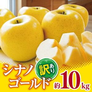yӂ邳Ɣ[Łz󂠂 VimS[h 10kg y2025Ns\z b Oʎ S  ь ʕ t[c ʎ ʏ` VimS[h 󂠂 킯 쌧 쑺 MB