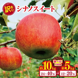 【ふるさと納税】 訳あり シナノスイート 約5kg / 約10kg 【2026年先行予約】 ｜ やまし平林農園 リンゴ りんご 林檎 果物 フルーツ 果実 果汁 シナノスイート しなのすいーと 家庭用 わけあり 訳アリ 長野県 松川村 信州