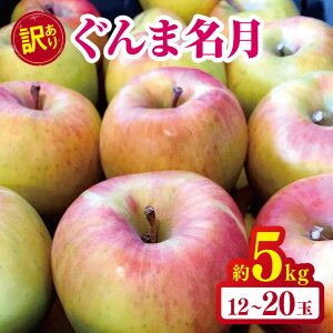 yӂ邳Ɣ[Łz 󂠂 ܖ 5kg b ܂є_ S  ь ʕ t[c ʎ ʏ` ܖ ܂߂ ƒp 킯 A 쌧 쑺 MB